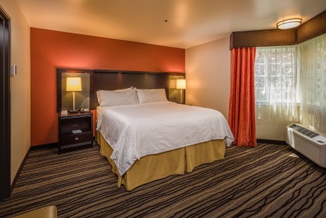 Welcome To Holiday Inn Express Mountain View Palo Alto - Executive Suite